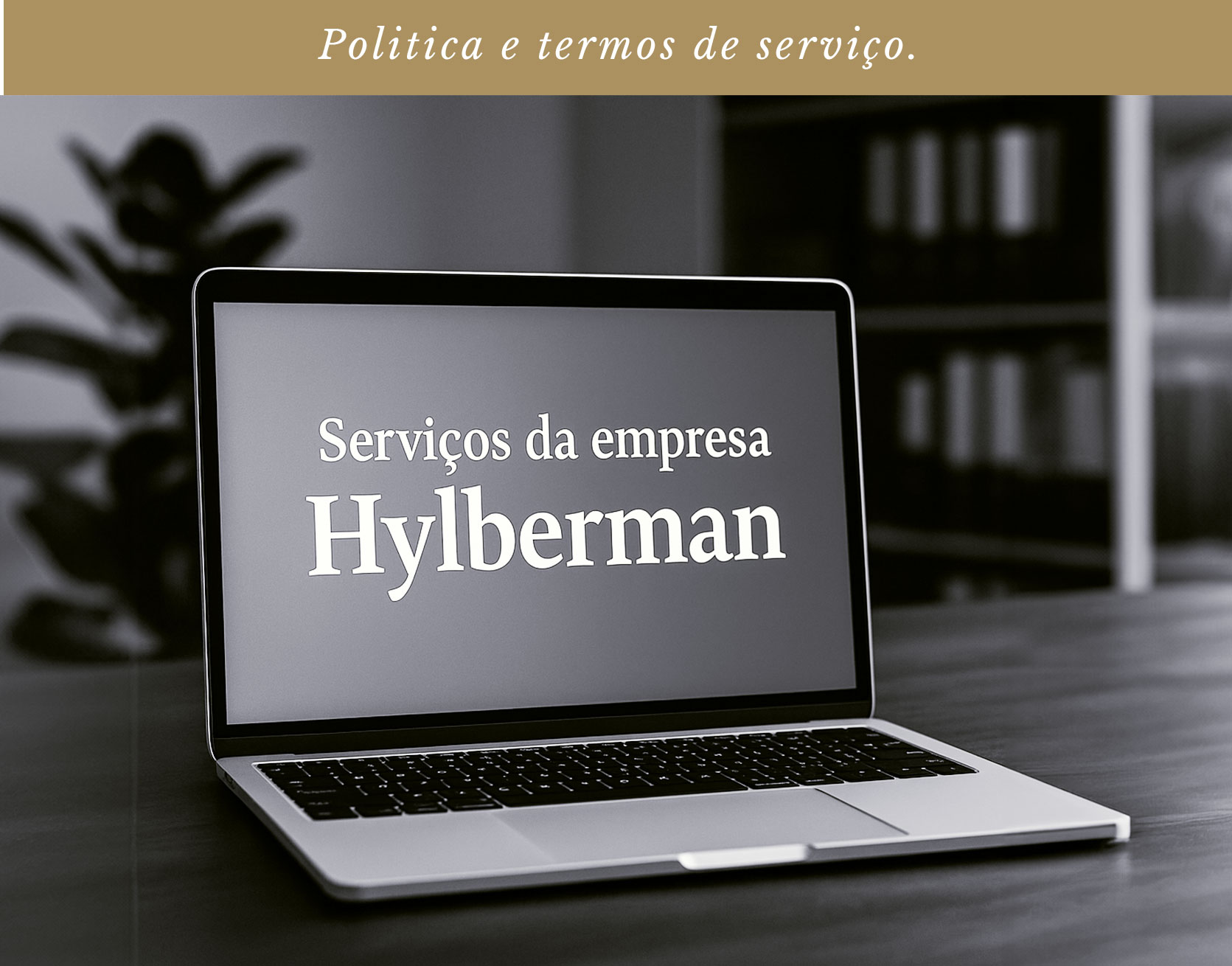 Banner Termos de Serviço - mobile