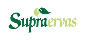 SUPRAERVAS