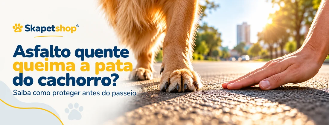 Pata de cachorro próxima ao asfalto quente durante passeio
