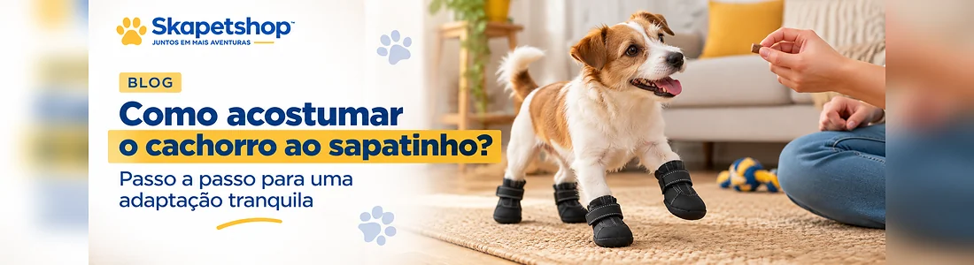 Cachorro se adaptando ao uso de sapatinhos com reforço positivo