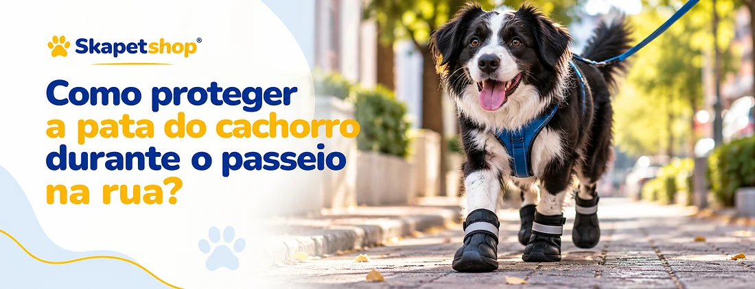 Cachorro passeando na rua com proteção nas patas