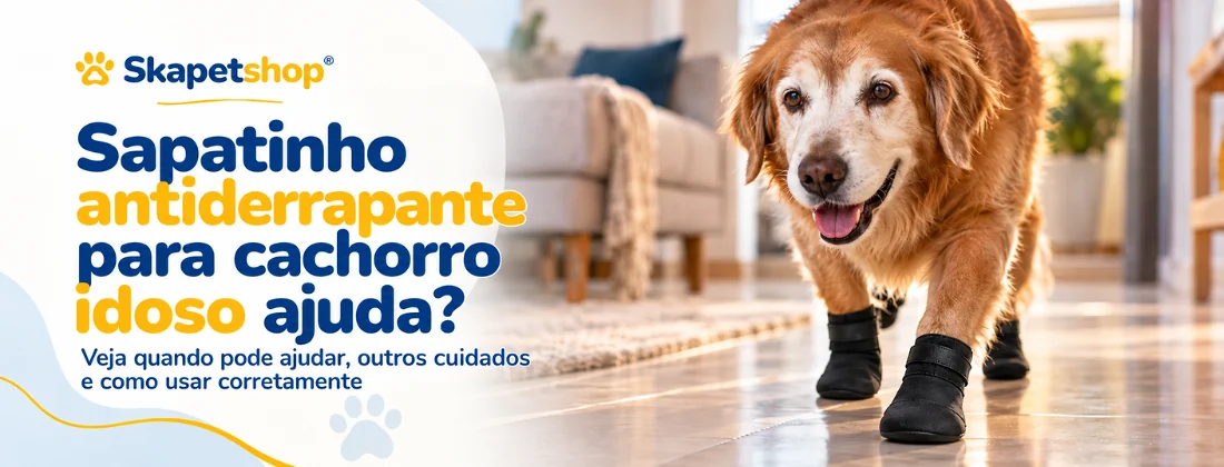 Cachorro idoso usando sapatinho antiderrapante em piso liso
