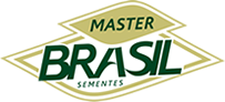 Master Brasil