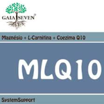 MLQ10