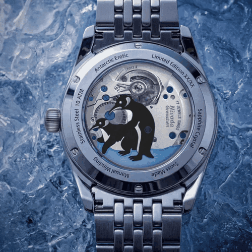 Pinguins do fundo do Antarctic Erotic em movimento durante o acionamento da corda
