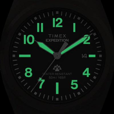 Timex Expedition Capstone TW2Y18200 Resistência e design