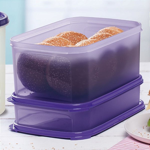 Tupperware Modular Retangular Kit 2 Peças Roxa