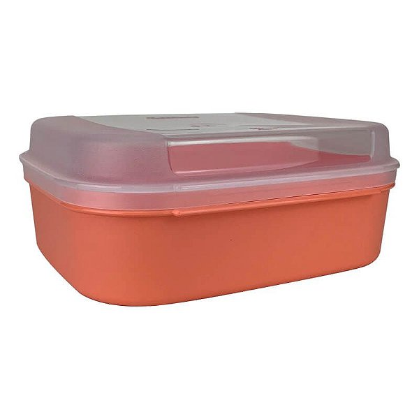 Tupperware Visual Box Pequeno 1,1 litro Laranja