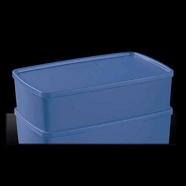 Tupperware Caixa Ideal 1,4 litro Azul Royal