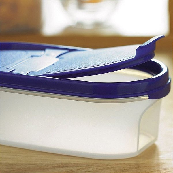 Tupperware Modular Espacial Oval 500ml Roxo