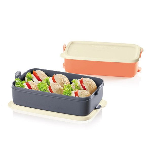 Tupperware Picnic Line sem Alça Salmão e Cinza