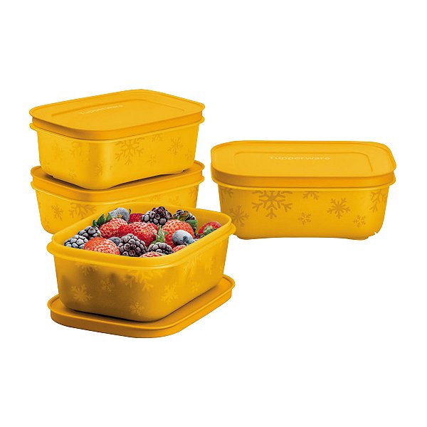 Kit Tupperware Freezer Line 450ml Laranja 4 peças