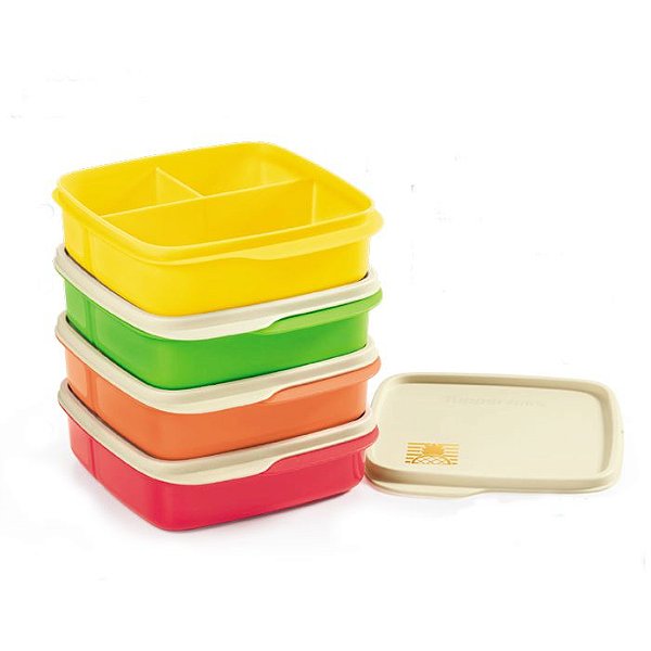 Tupperware Basic Line com Divisórias kit 4 peças