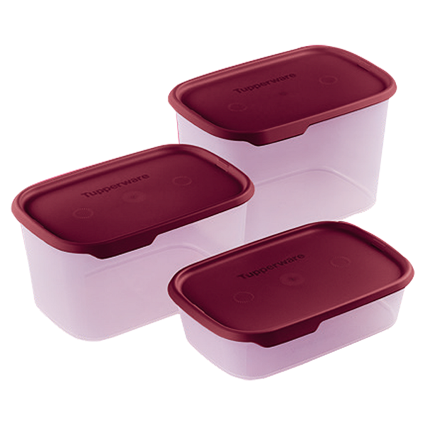 Kit Tupperware Toque + Touch Fresh Retangular Marsala Translúcido 3 peças