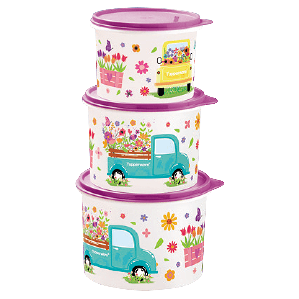 Kit Tupperware Caixas Caminho das Flores 3 Peças