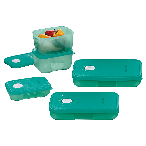 Kit Tupperware PDA 10/2024 Freezertime 5 peças