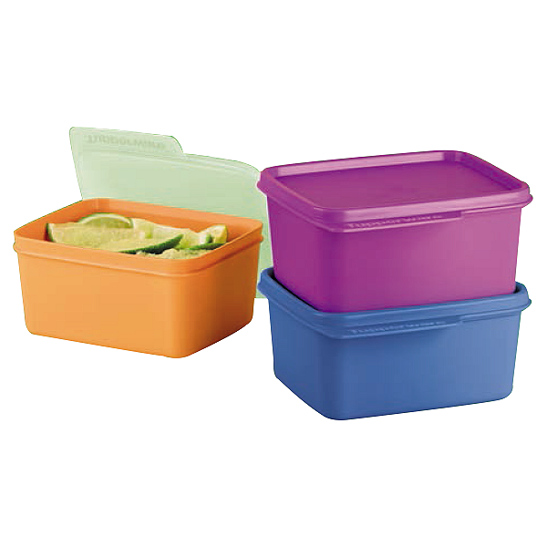 Kit Tupperware Basic Line 500ml 3 peças