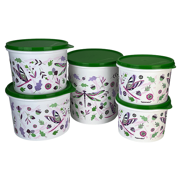 Kit Tupperware PDA 02/2025 Libélulas 5 peças