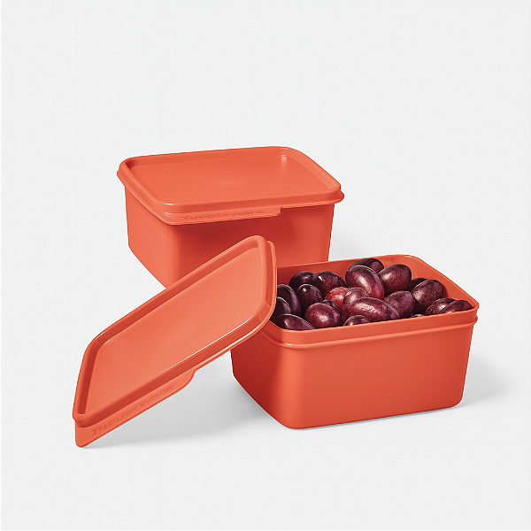 Kit Tupperware Basic Line 500ml 2 Peças Laranja Coral