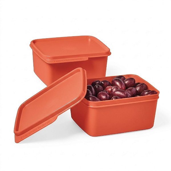 Kit Tupperware Basic Line 500ml 2 Peças Laranja Coral