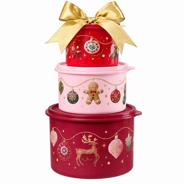 Kit Tupperware Tupper Caixa e Redondinha Craft 3 peças