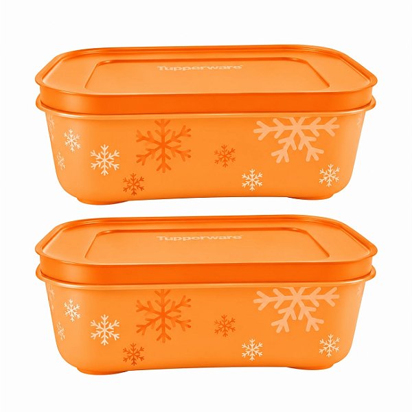 Kit Tupperware Freezer Line 450ml Laranja 2 peças