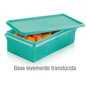 Tupperware Maxi Caixa 2,5 litros