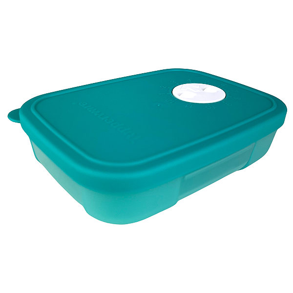 Tupperware Freezertime 300ml Verde