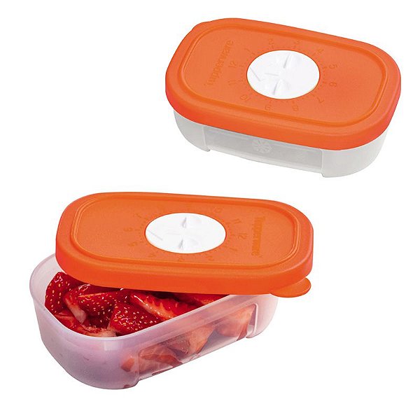 Tupperware Freezertime laranja Kit 2 peças
