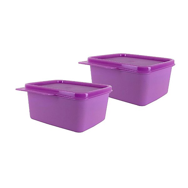 Kit Tupperware Basic Line 500ml 2 Peças Lilás