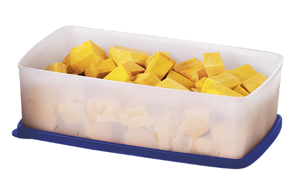 Tupperware Caixa Ideal 1,4 litro Azul