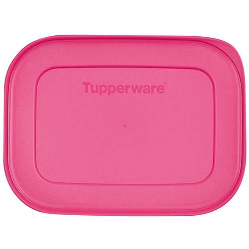 Tampa Freezer Line 450ml e 1,1 litro Tupperware