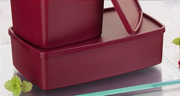 Tupperware Caixa Ideal Marsala 1,4 litro