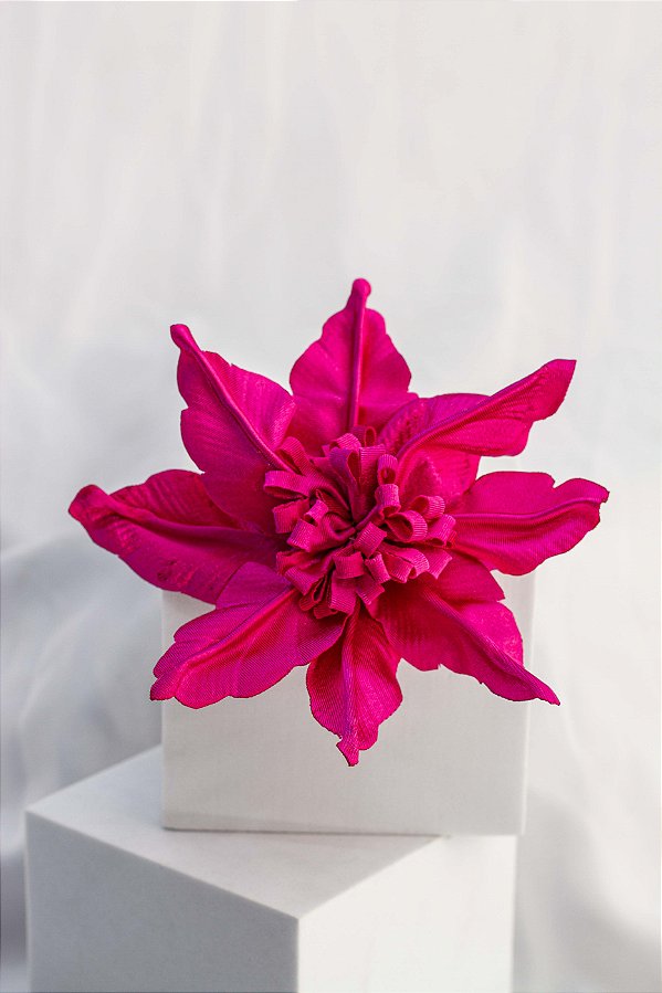 JC Flor Deise Rosa