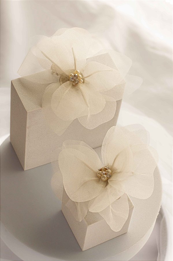 JC Grinalda Orquídea Valéria