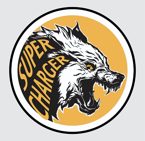 CAMISETA S.C FIRE DOG