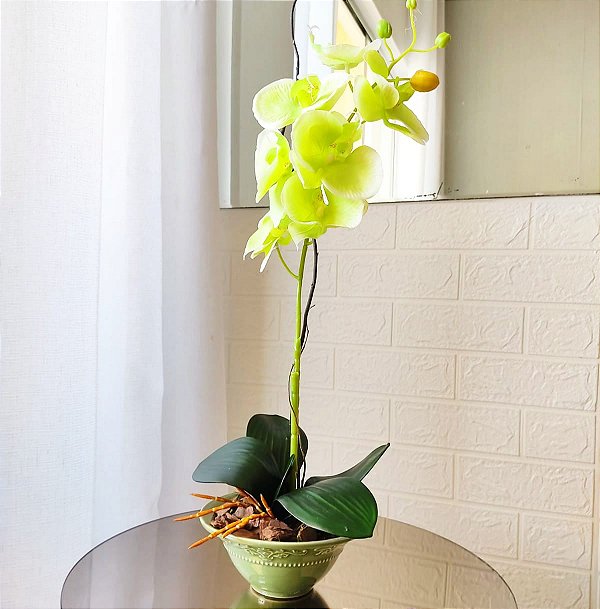 orquideas - Arranjos Para Vida