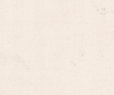 PAPEL DE PAREDE CLASSICI 2-EN