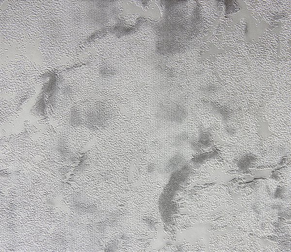 PAPEL DE PAREDE - CLASSICI 3-EN