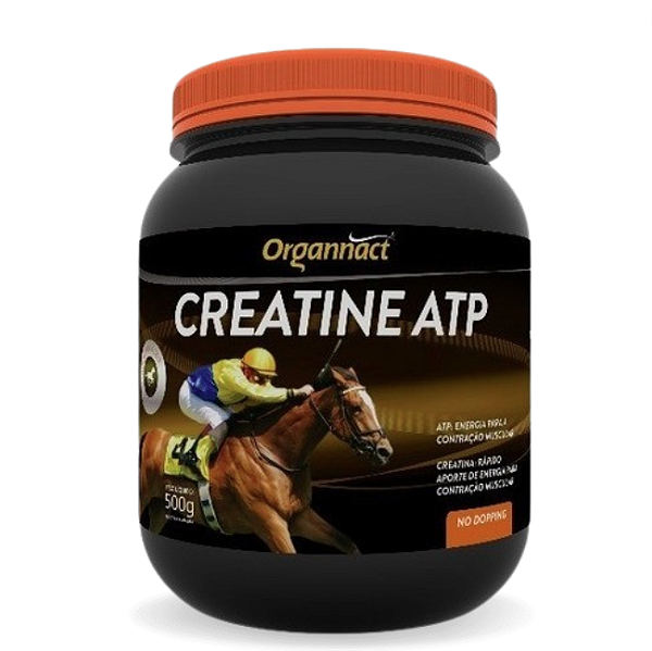 Creatine ATP Organnact 500 g - Creatina