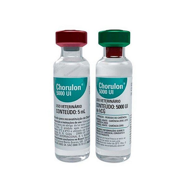 Chorulon 5000 u.i. - Gonadotrofina - HCG