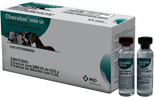 Chorulon 5000 u.i. Gonadotrofina HCG - Caixa com 5 unidades