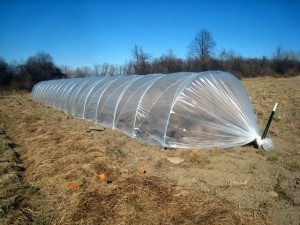 Túnel Cristal Electroplastic 2x500 72KG Ref 75 Com Anti UV