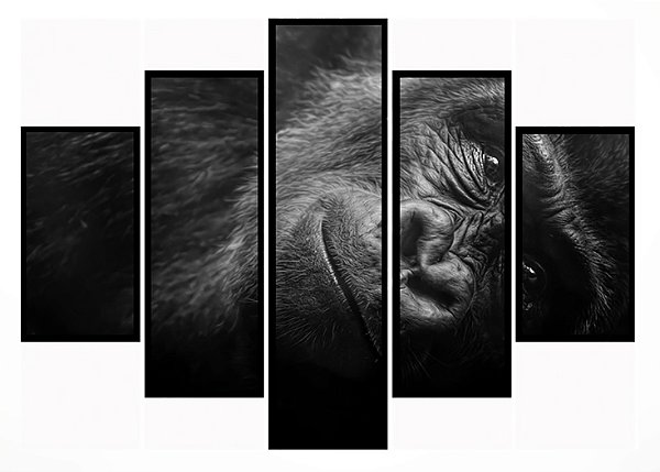 Quadro Mosaico 5 Partes Gorila Moldura Preta Art e Cia