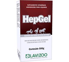 HEP GEL 500G LAVIZOO