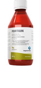 FORTIUM GEL EQUINOS240G