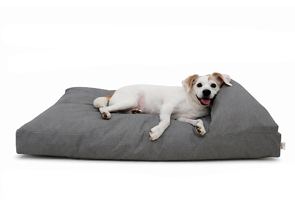 Cama Divã para Cachorro Grande Impermeável Acquablock® Cinza Grafite