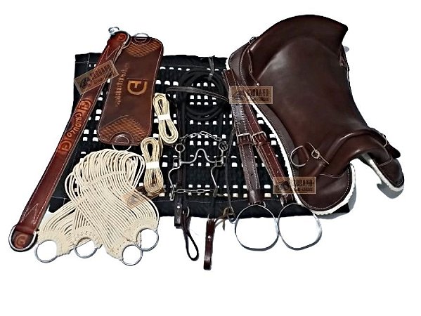 Montaria KIT 13x PEÇAS Sela Freio Ouro e BACHEIRO