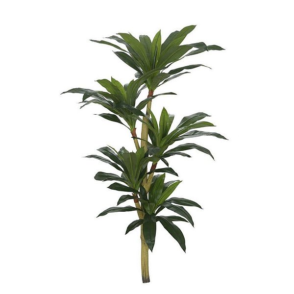 Dracena Real Toque Verde 1,25m