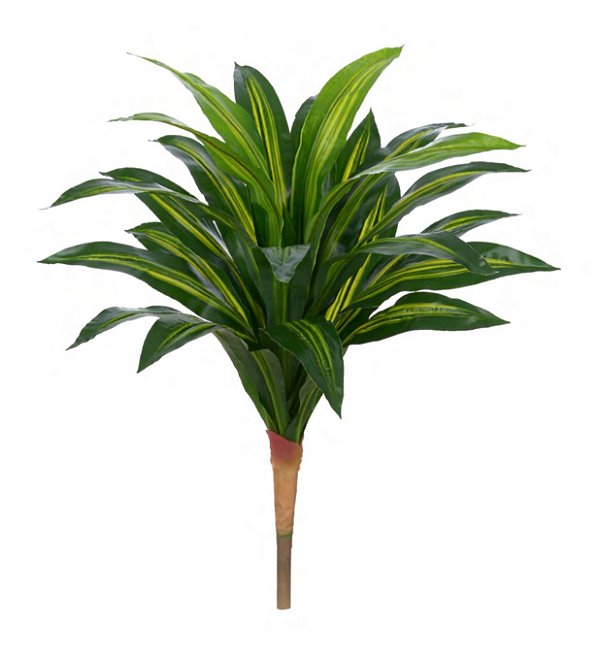 Árvore Artificial Dracena Real Toque x24 Verde Creme 90cm (Apenas a Planta)